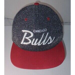 Chicago Bulls Adult Static Gray Snapback Cap Hat - Mitchell & Ness Pre-owned.